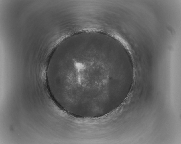 X0000112900009200909041732
