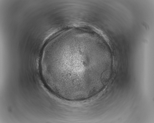 X0000112900010200909041732