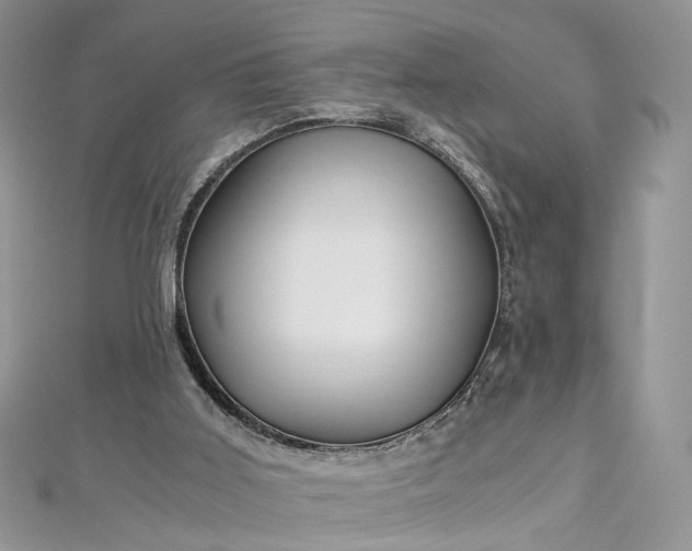 X0000112900011200909041732