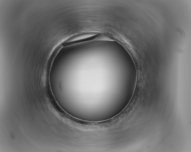 X0000112900012200909041732