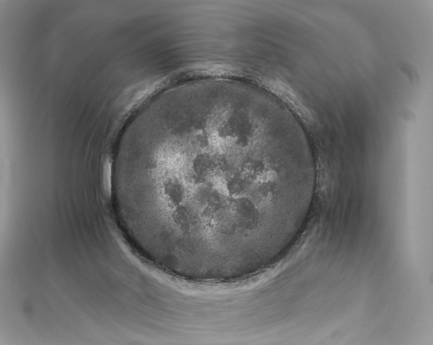 X0000112900014200909041732