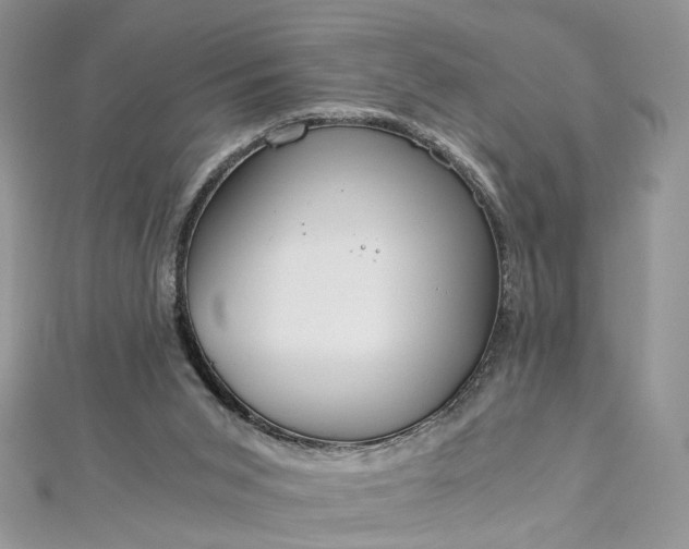 X0000112900015200909041732