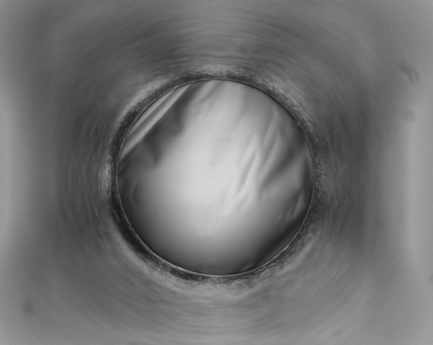 X0000112900016200909041732