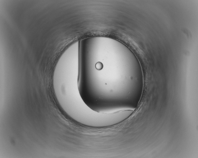 X0000112900017200909041732