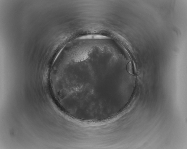 X0000112900018200909041732