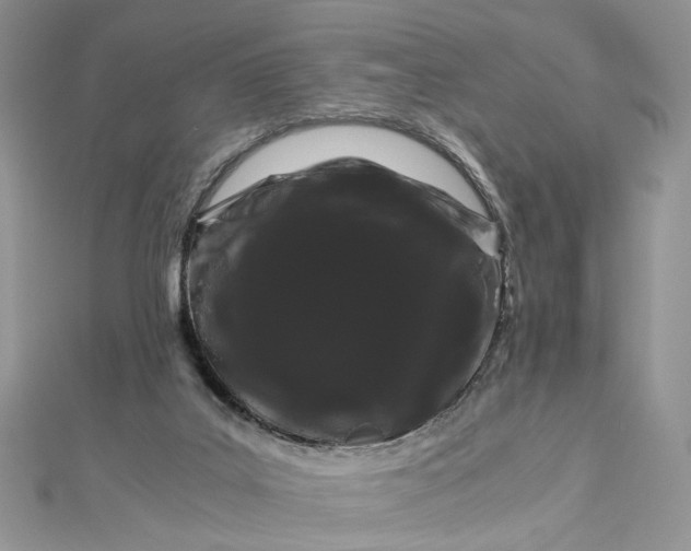 X0000112900019200909041732