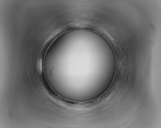 X0000112900020200909041732