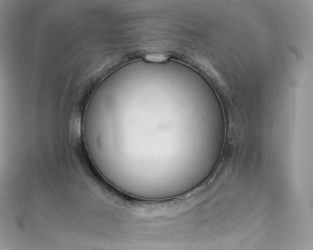X0000112900021200909041732