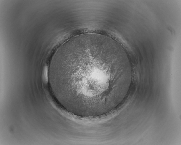X0000112900022200909041732