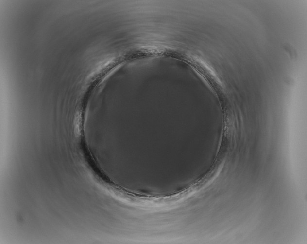X0000112900023200909041732