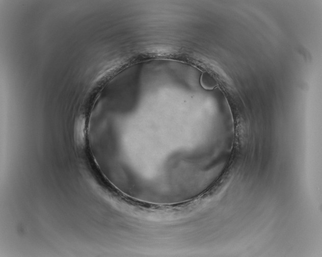 X0000112900024200909041732