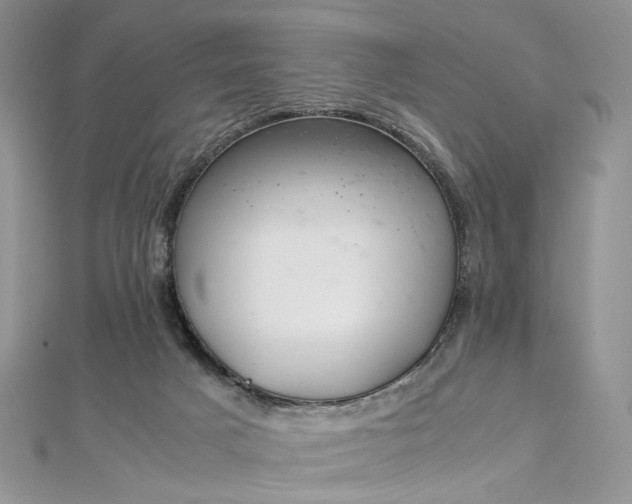 X0000112900025200909041732