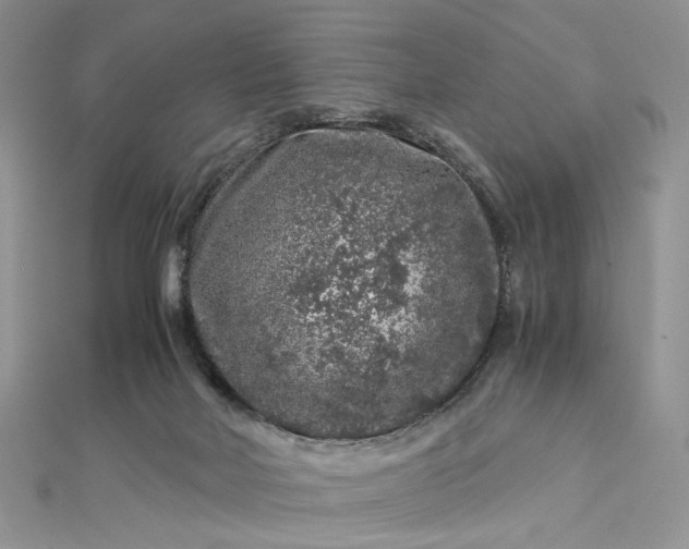 X0000112900026200909041731