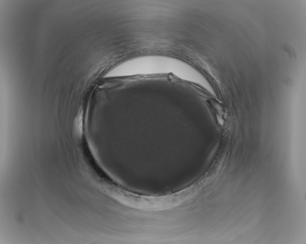 X0000112900027200909041731