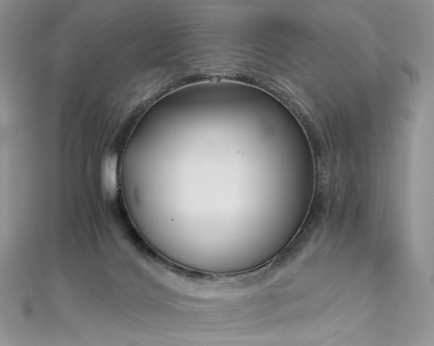 X0000112900028200909041731