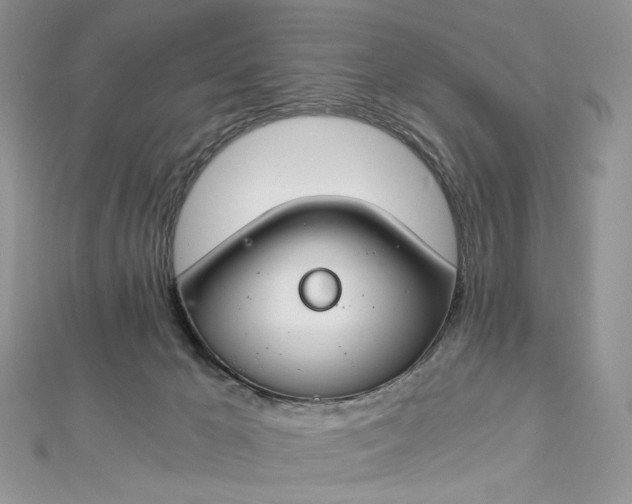 X0000112900029200909041731