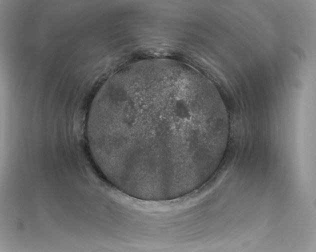 X0000112900030200909041731