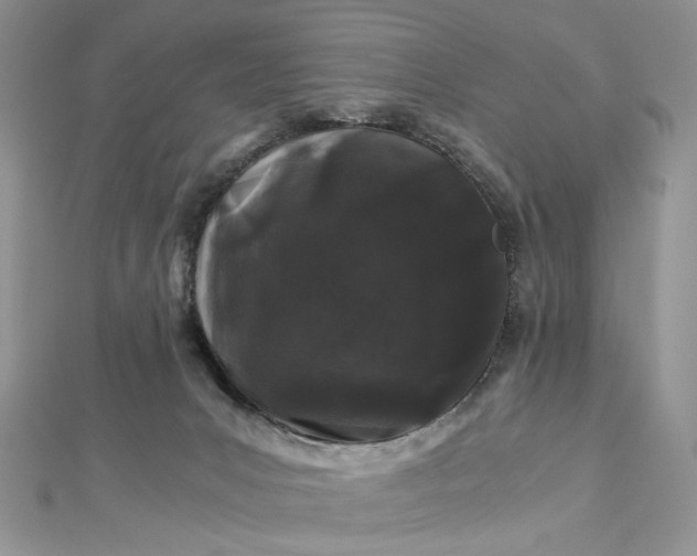 X0000112900031200909041731