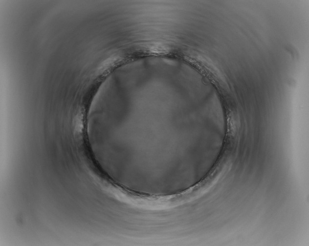 X0000112900032200909041731