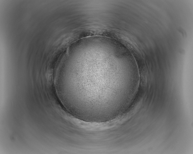 X0000112900034200909041731