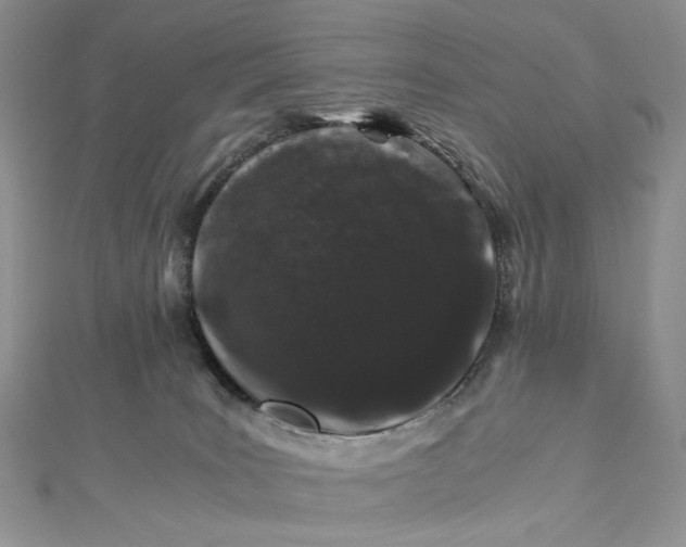 X0000112900035200909041731
