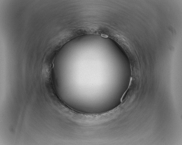X0000112900037200909041731