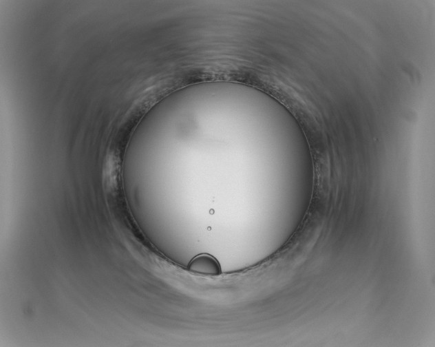 X0000112900038200909041731