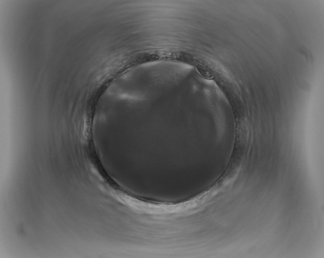 X0000112900039200909041731