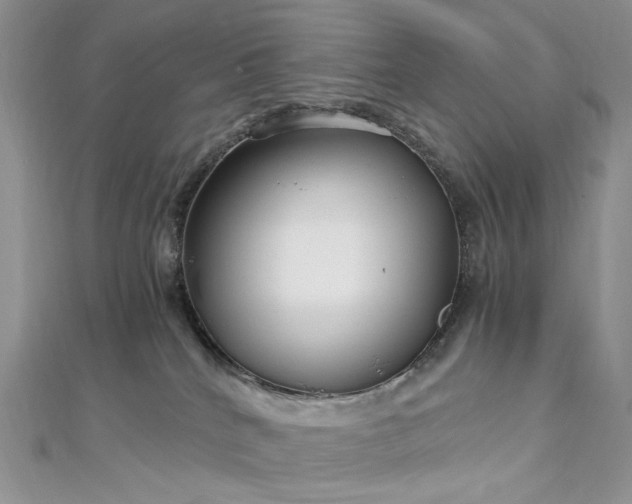 X0000112900040200909041731