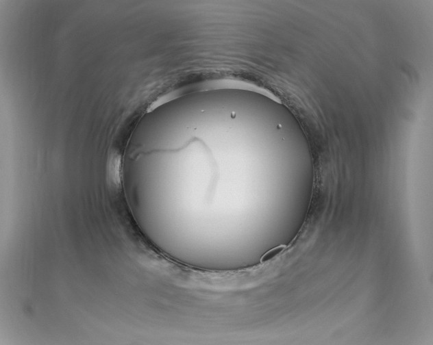 X0000112900041200909041731