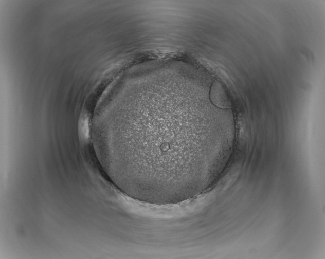 X0000112900042200909041731