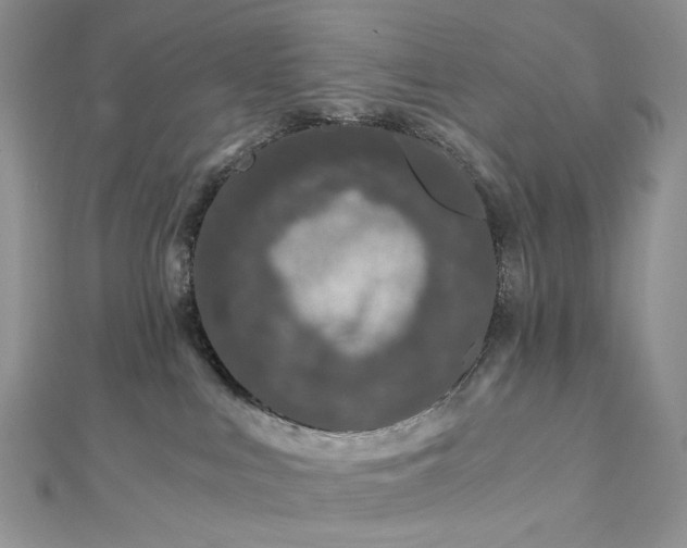 X0000112900043200909041731