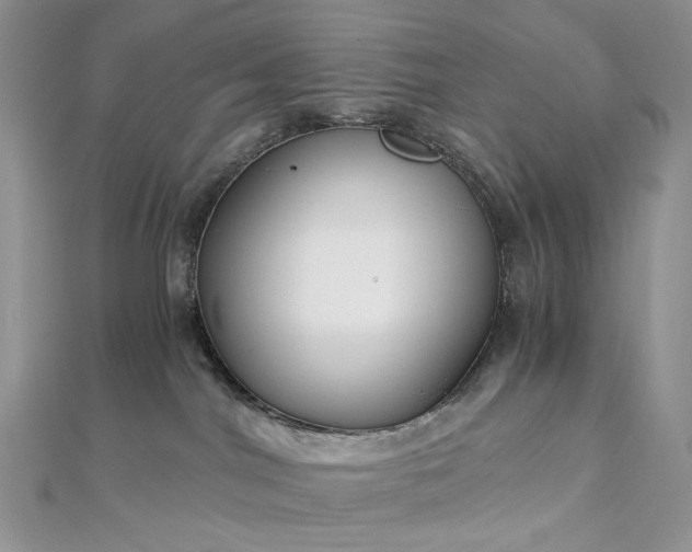X0000112900044200909041731