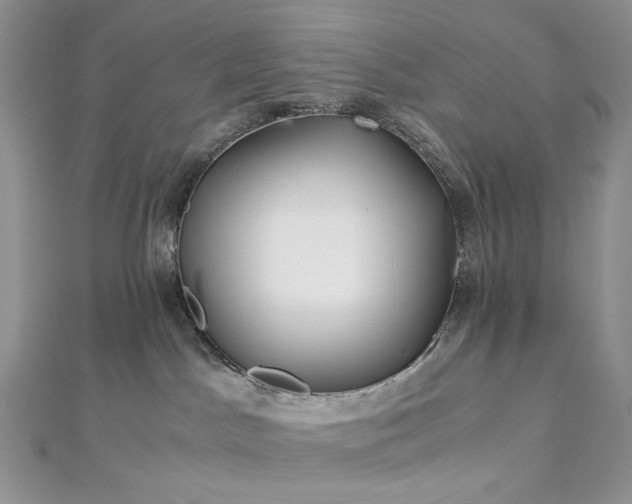 X0000112900045200909041731