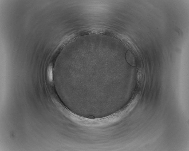 X0000112900046200909041731