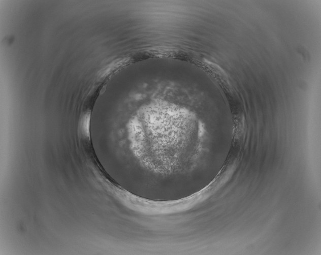 X0000112900047200909041731