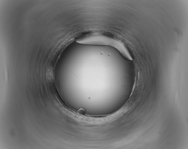 X0000112900048200909041731