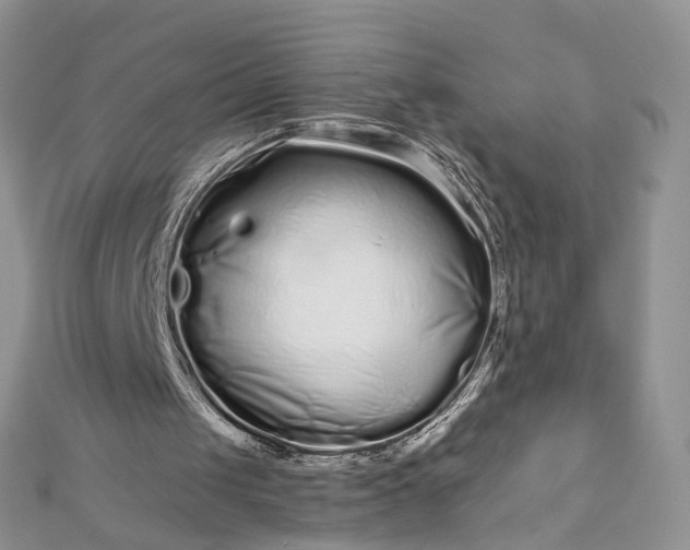 X0000112900049200909041731