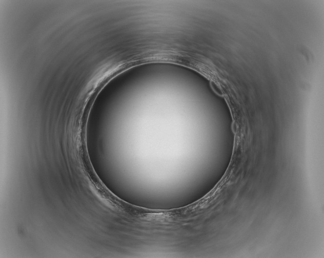 X0000112900050200909041731