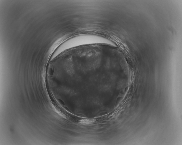 X0000112900051200909041731