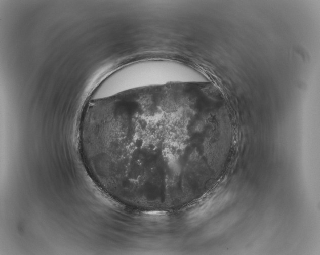 X0000112900053200909041731