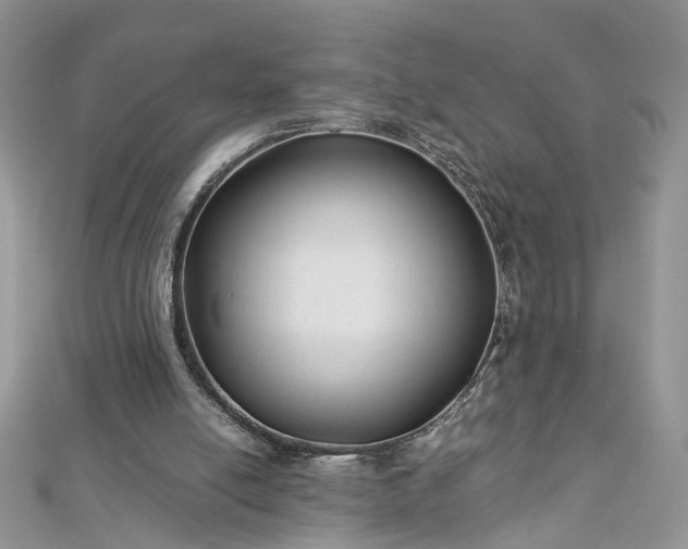 X0000112900054200909041731