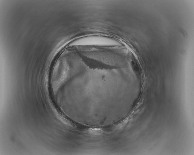 X0000112900055200909041731