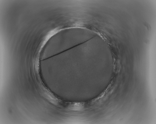 X0000112900056200909041731