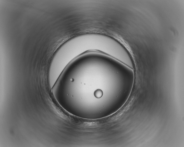 X0000112900057200909041731