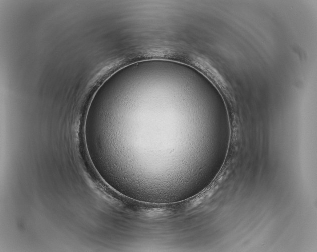 X0000112900058200909041731