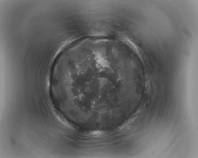 X0000112900059200909041731