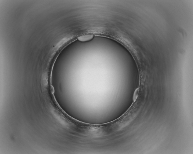 X0000112900060200909041731