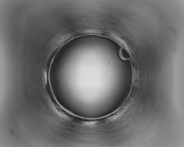 X0000112900061200909041731