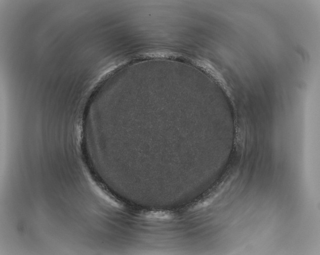 X0000112900063200909041731